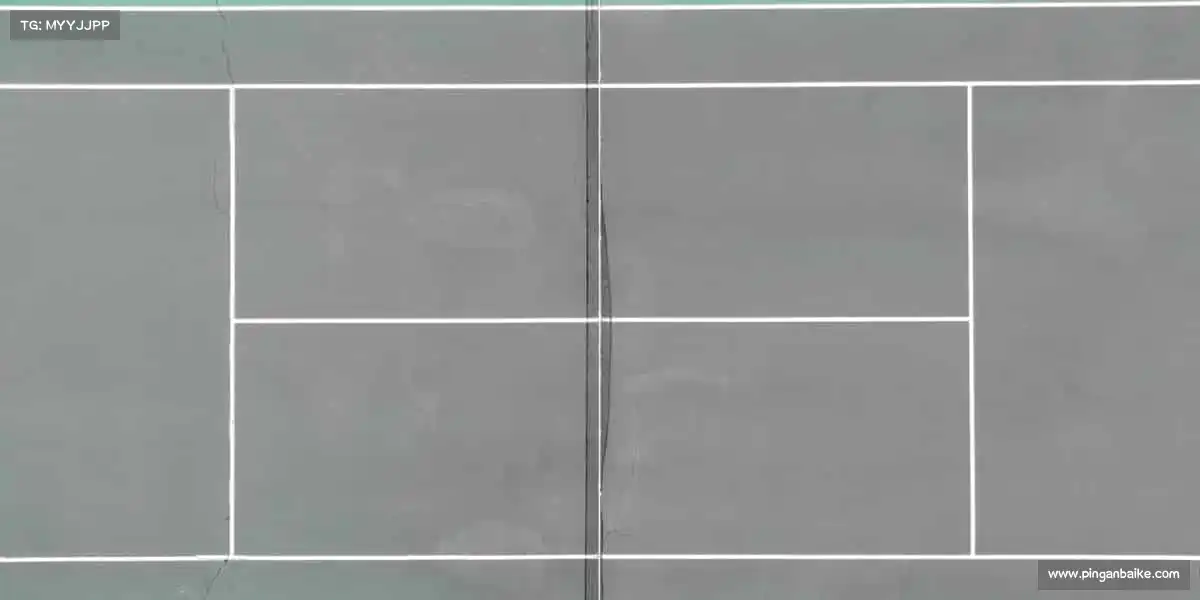 为什么选择我们